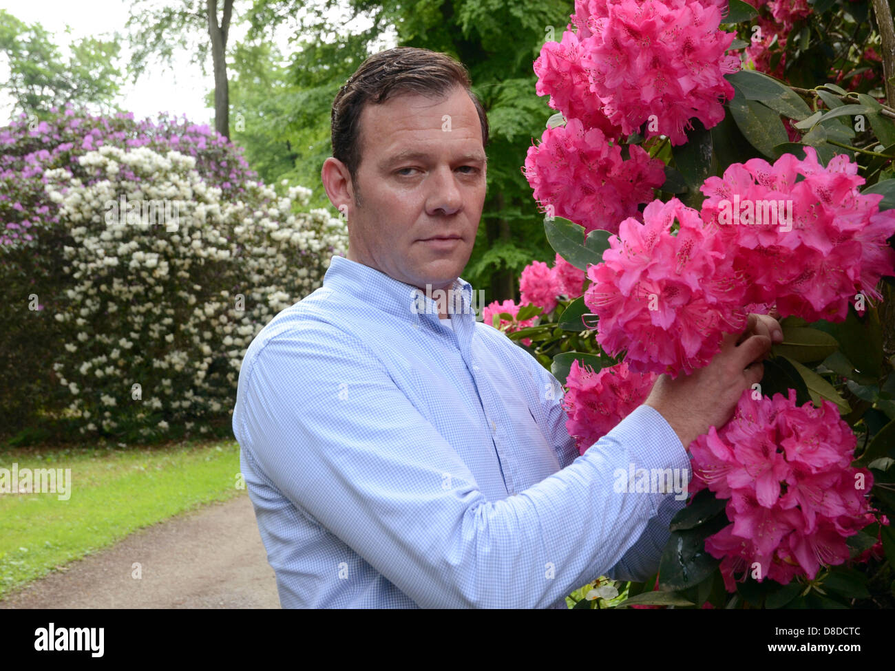 Revierleiter Klaus Weinem posiert fr die Kamera mit blhenden Rhododendron  Bume in einem Park Heltorf Schloss in Dsseldorf, Deutschland, 21. Mai  2013. 80 verschiedene Arten von Rhododendron Bume, von denen einige sind