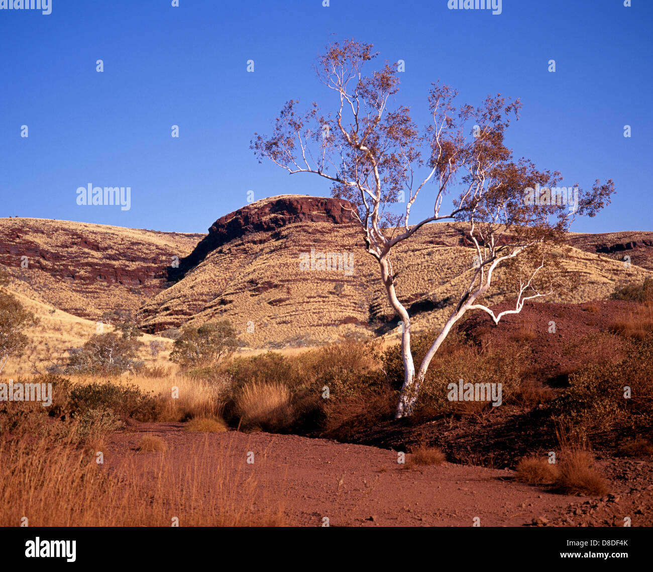 Blick über die Rock-Formationen, Hamersley Range Karijini-Nationalpark, Pilbara, Western Australia, Australien. Stockfoto