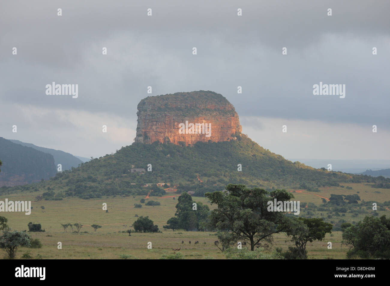 Entabeni Berg Stockfoto