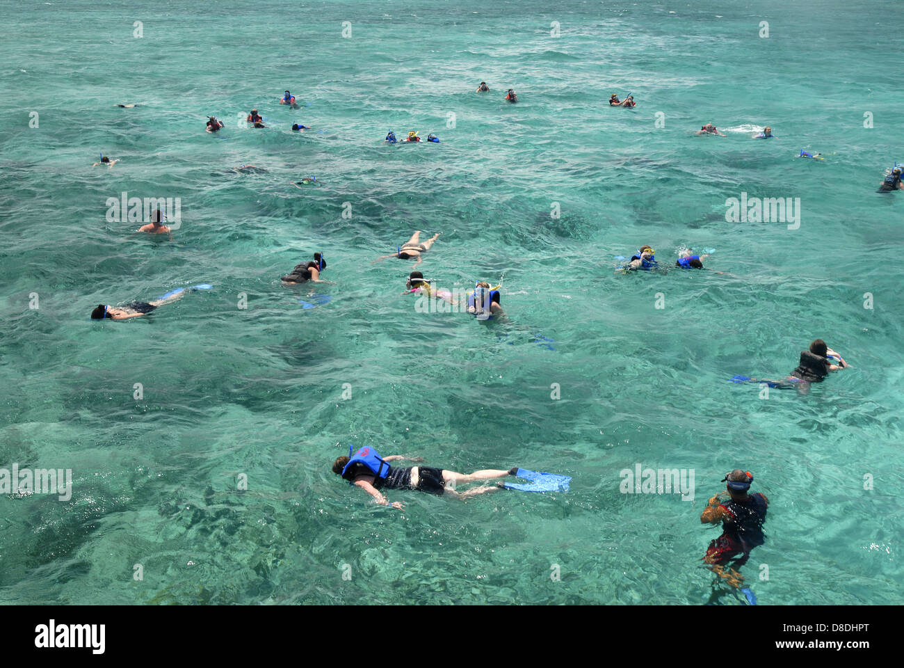 Tauchen, Cayo Coco, Kuba Stockfoto