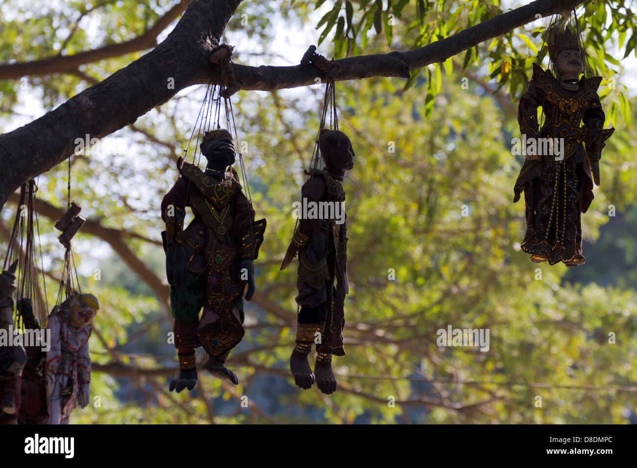 Ein makabrer Anblick - Puppen hängen in einem Baum, Mandalay Myanmar Stockfoto