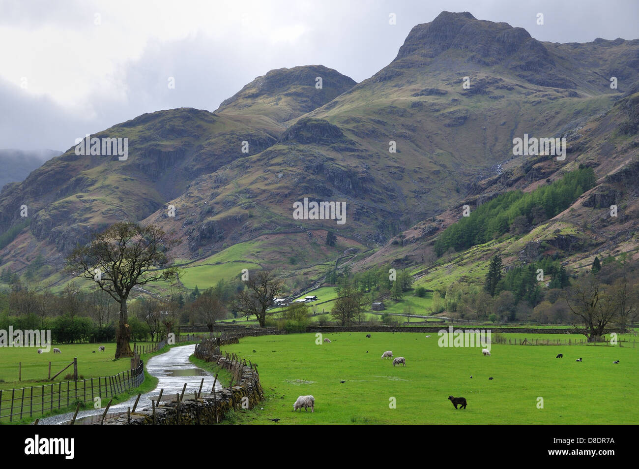 Ein Blick auf die Langdale Pikes im Lake District Stockfoto