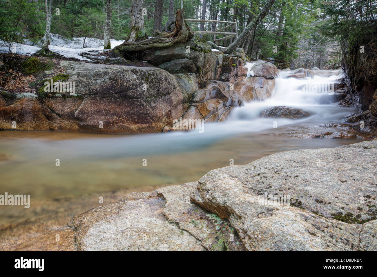 Die Baby-Flume in Franconia Notch State Park von New Hampshire, USA Stockfoto