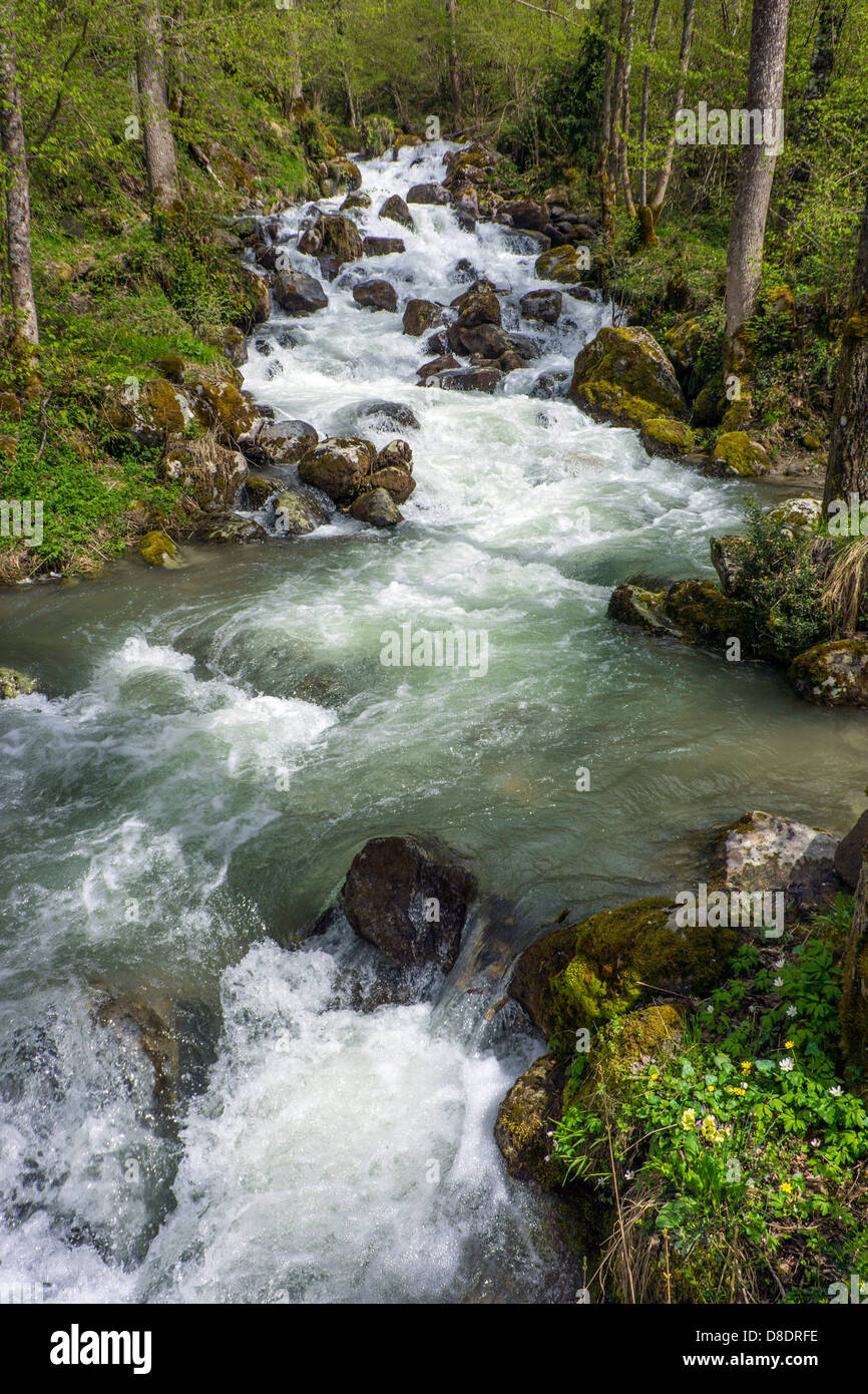 Kaskaden-Wasserfälle im Fluss fließt durch Wald Stockfoto