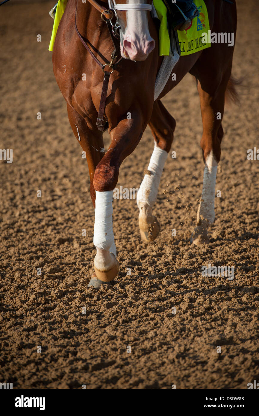 Louisville, Kentucky, Churchill Downs reinrassiger Rennstrecke berühmt für Hosting-das Kentucky Derby. Pferd auf der Spur Stockfoto