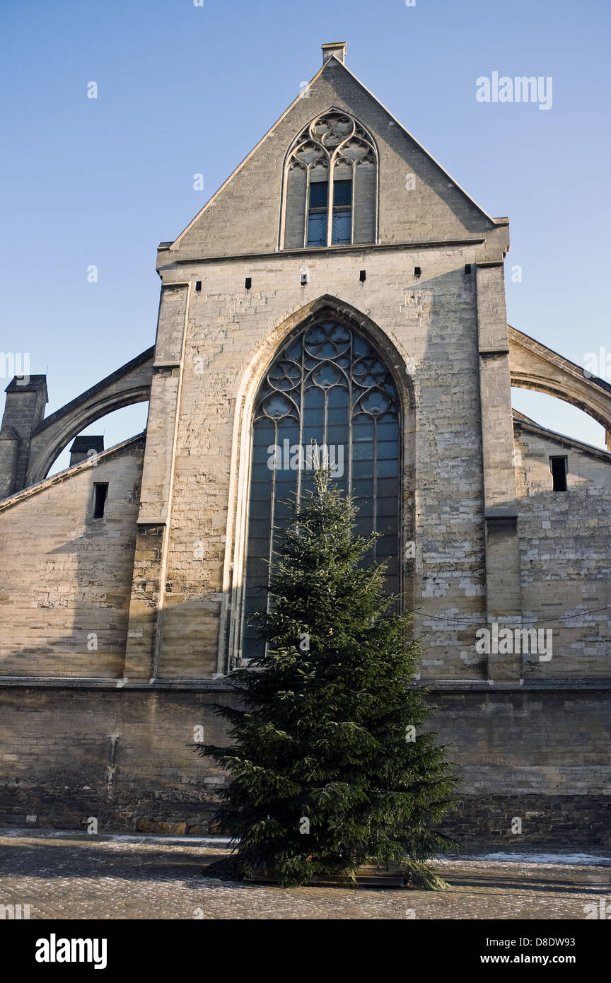 Alte Kirche mit Weihnachtsbaum an einem kalten, sonnigen Tag im winter Stockfoto