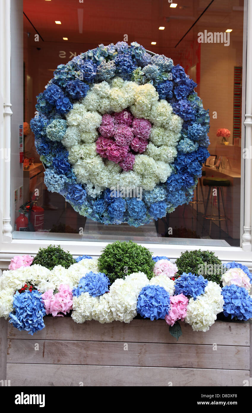 Hortensie-Schaufenster und Blumenkasten, Sloane Square, London SW3 Stockfoto