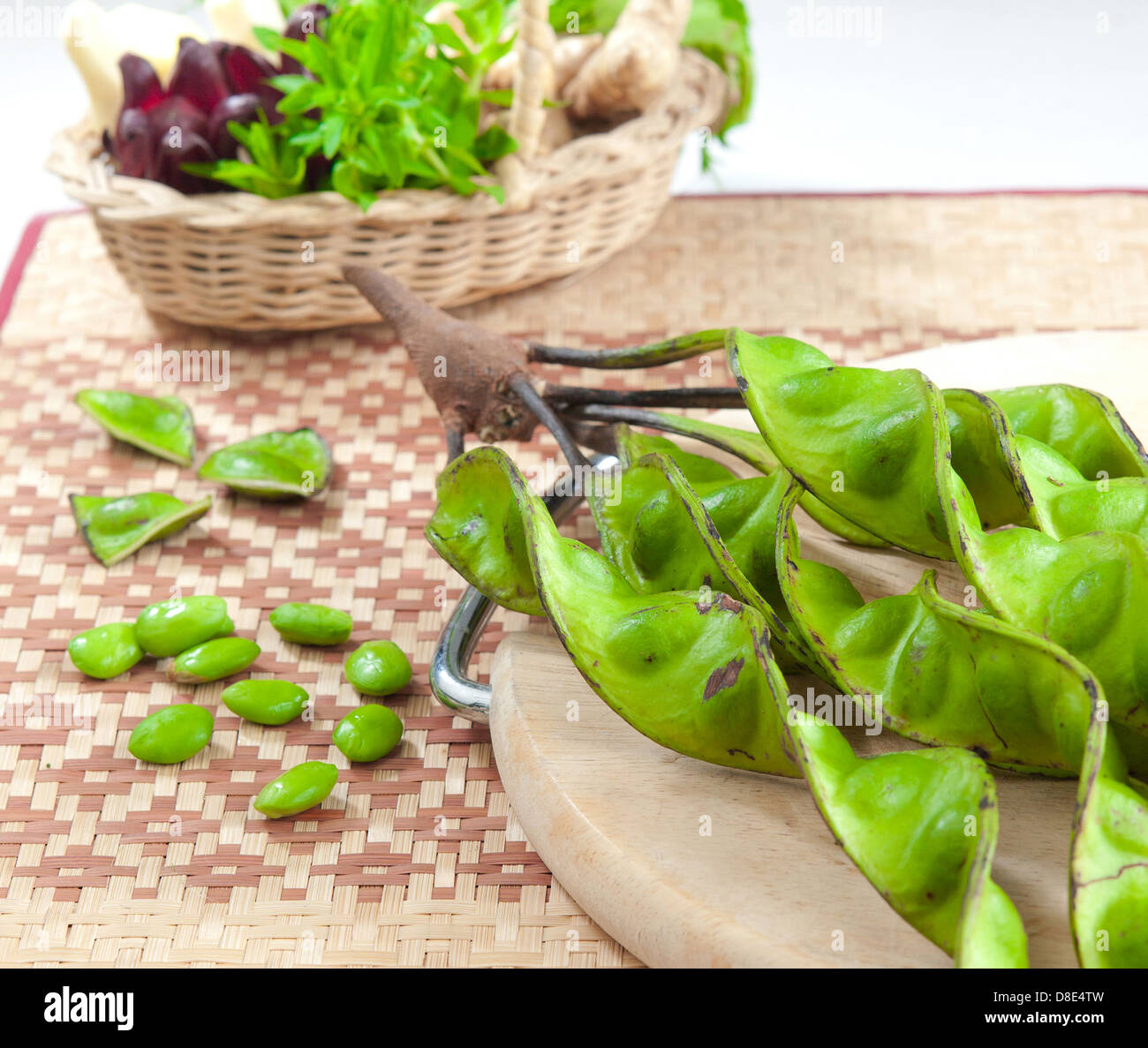 Stinken Sie Bohnen Kraut und Inhaltsstoffen aus der Natur aus dem südlichen Thailand Stockfoto