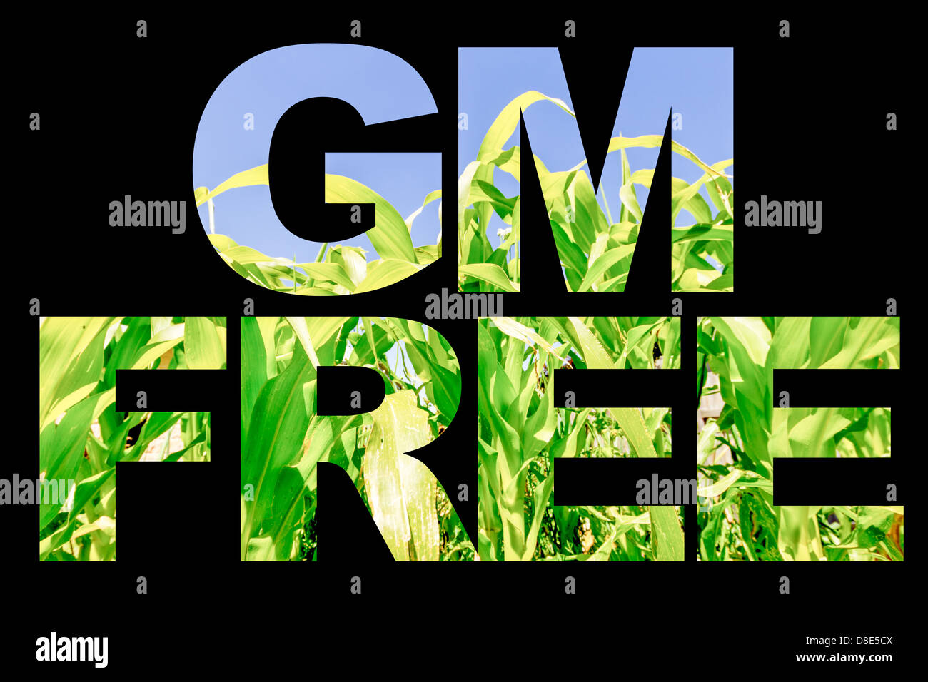 Bild in Text isoliert auf schwarz. GM Free Food-Konzept. Stockfoto