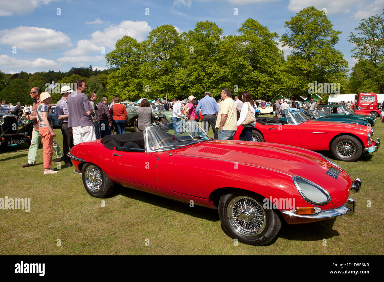 Klassische Sportwagen auf der Haslemere Classic Car Show 26. Mai 2013 Stockfoto