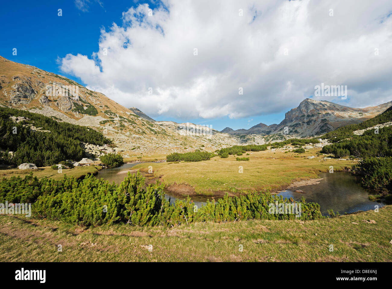 Europa, Bulgarien, Pirin-Nationalpark in der Nähe von Bansko, UNESCO-Weltkulturerbe Stockfoto