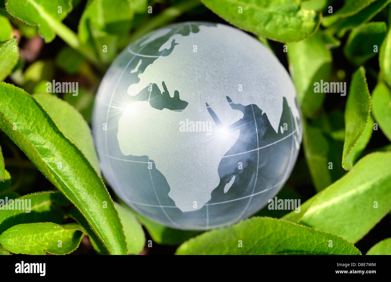 Welt Welt umgeben von Blättern, Nachhaltigkeit Stockfoto