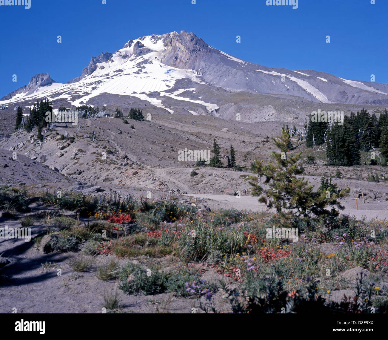 Mount Hood, Clackamas / Hood River County, Oregon, USA Stockfoto