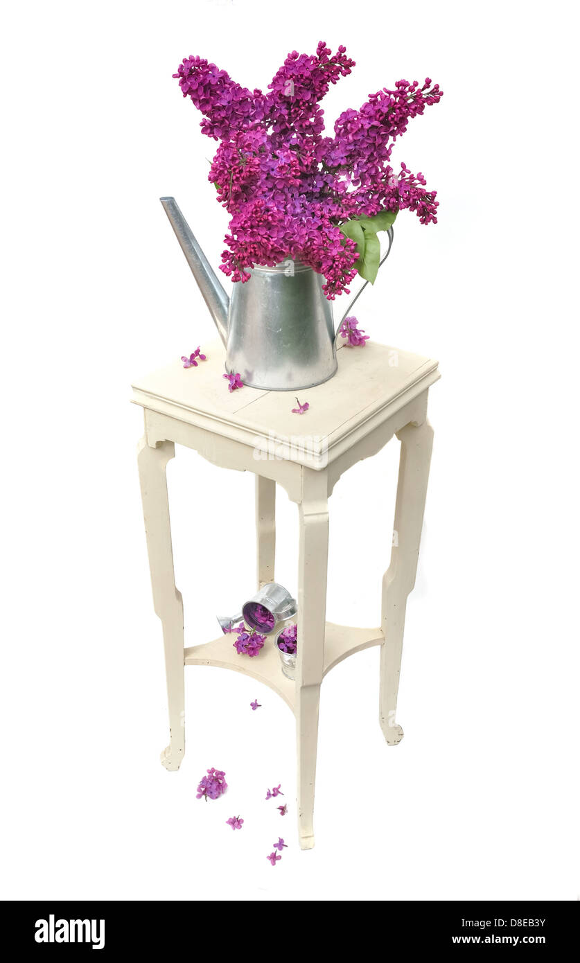 schöner Blumenstrauß Flieder auf einem kleinen Tisch mit Blütenblättern verstreut auf weißem Hintergrund Stockfoto