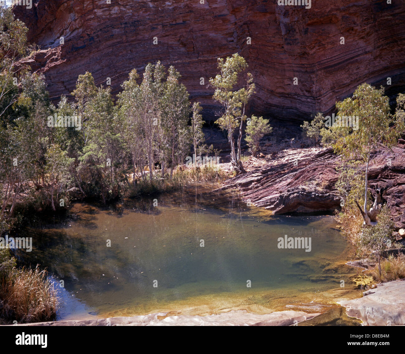 Pool und Felsformationen, Hammersley Schlucht, Karijini-Nationalpark, Pilbara, Western Australia, Australien. Stockfoto