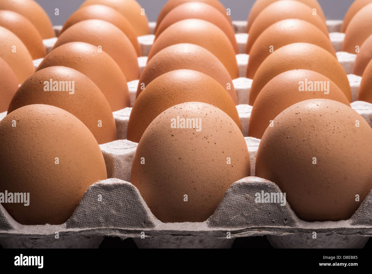 Verschiedene Ansichten von Hühnereiern in ein Fach. Stockfoto