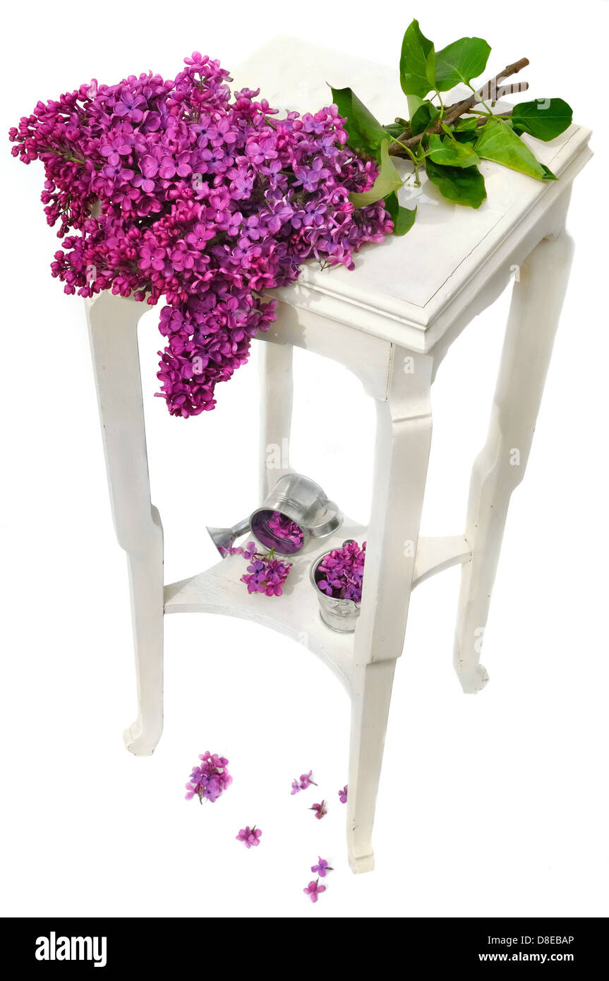schöner Blumenstrauß Flieder auf einem kleinen Tisch mit Blütenblättern verstreut auf weißem Hintergrund Stockfoto