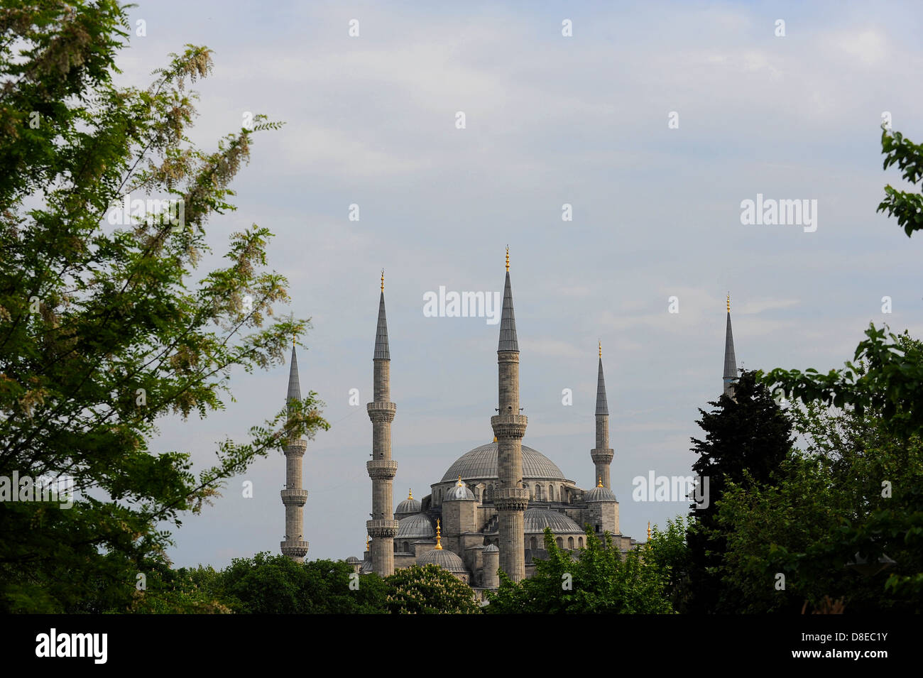 Die Sultan-Ahmed-Moschee in Istanbul. Die Moschee ist im Volksmund als die blaue Moschee bekannt. Stockfoto