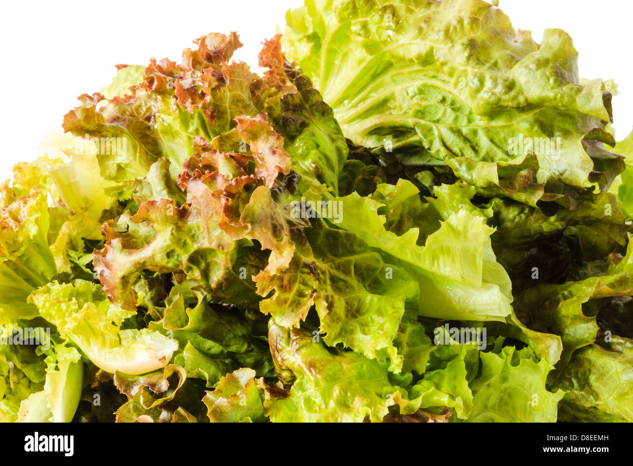 roten und grünen Salat auf weißem Hintergrund Stockfoto