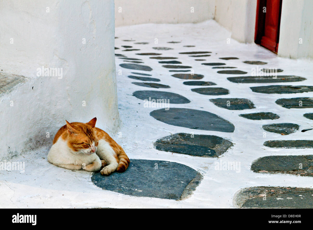 Faule Katze in einer traditionellen Straße der Insel Mykonos in Griechenland Stockfoto