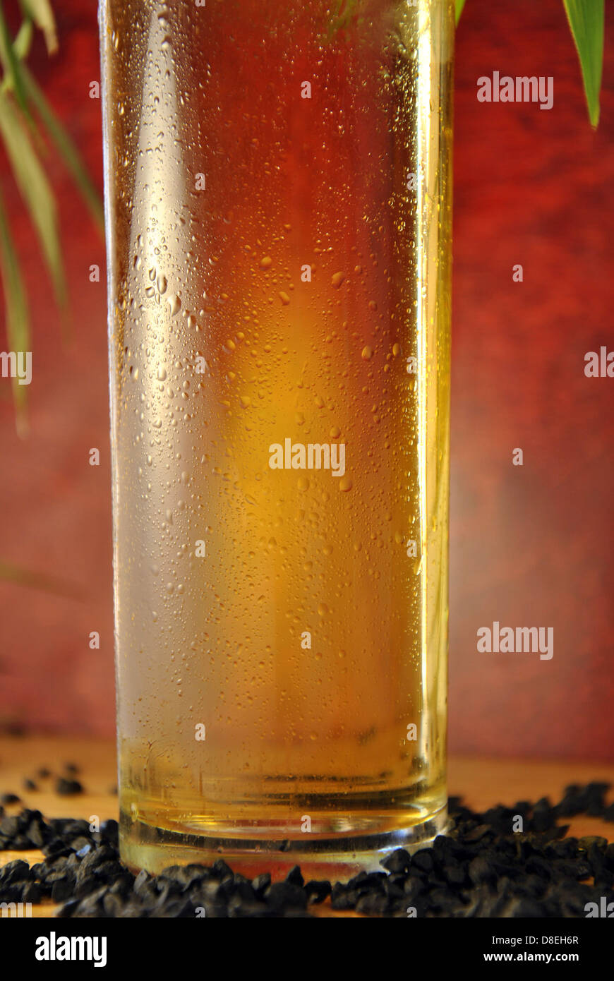 Glas kaltes Bier mit Tropfen Wasser durch das Einfrieren des Getränks Stockfoto