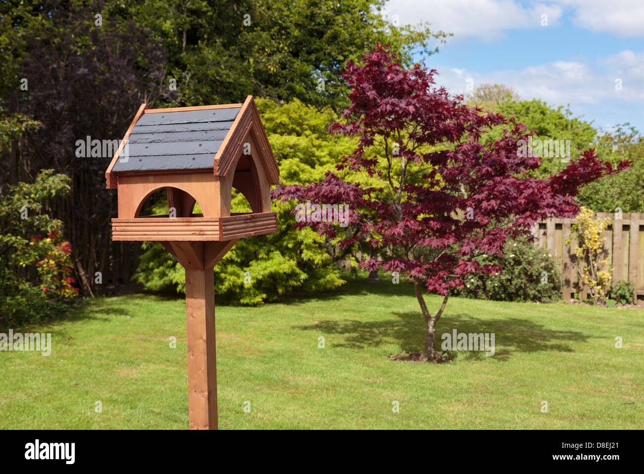 Holz- Vogel Tabelle mit Schieferdach und ein Acer Baum auf einem inländischen zurück Garten Rasen im Sommer Sonnenschein. Großbritannien, Großbritannien Stockfoto