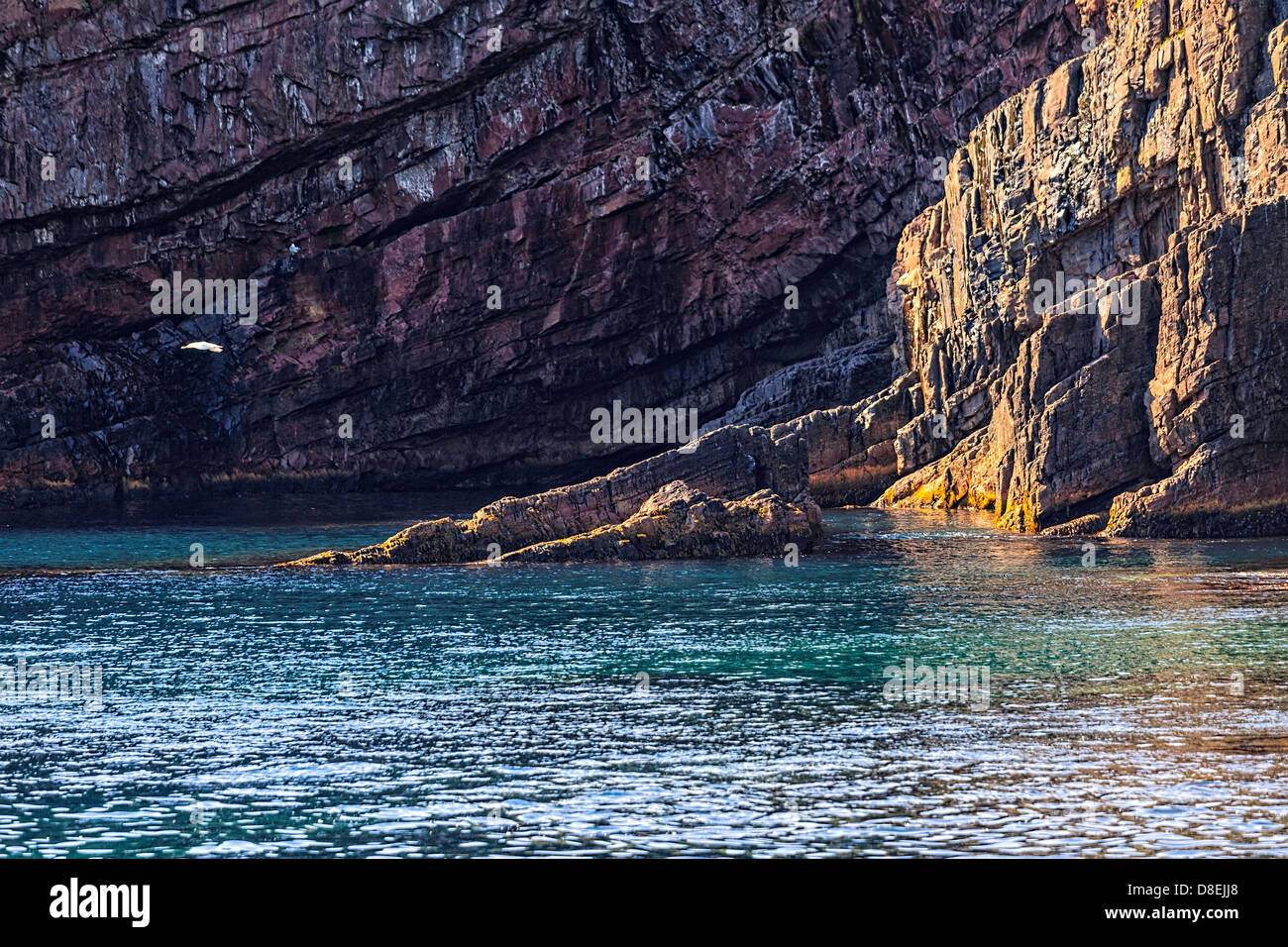 Dramatische und farbenfrohen Küstenlandschaft in den Nordatlantik in Bay Bulls, Neufundland Stockfoto