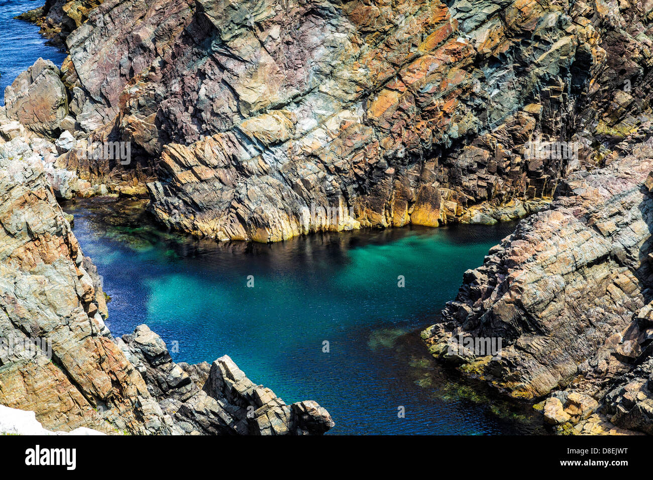 Bunten Felsen und kristallklaren Meer in Cape Bonavista, Neufundland Stockfoto