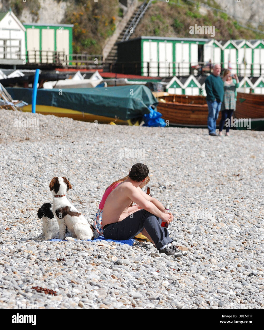Ein junges Paar mit 2 Hunden sitzen auf einem Kiesel Strand Bier Devon England uk Stockfoto