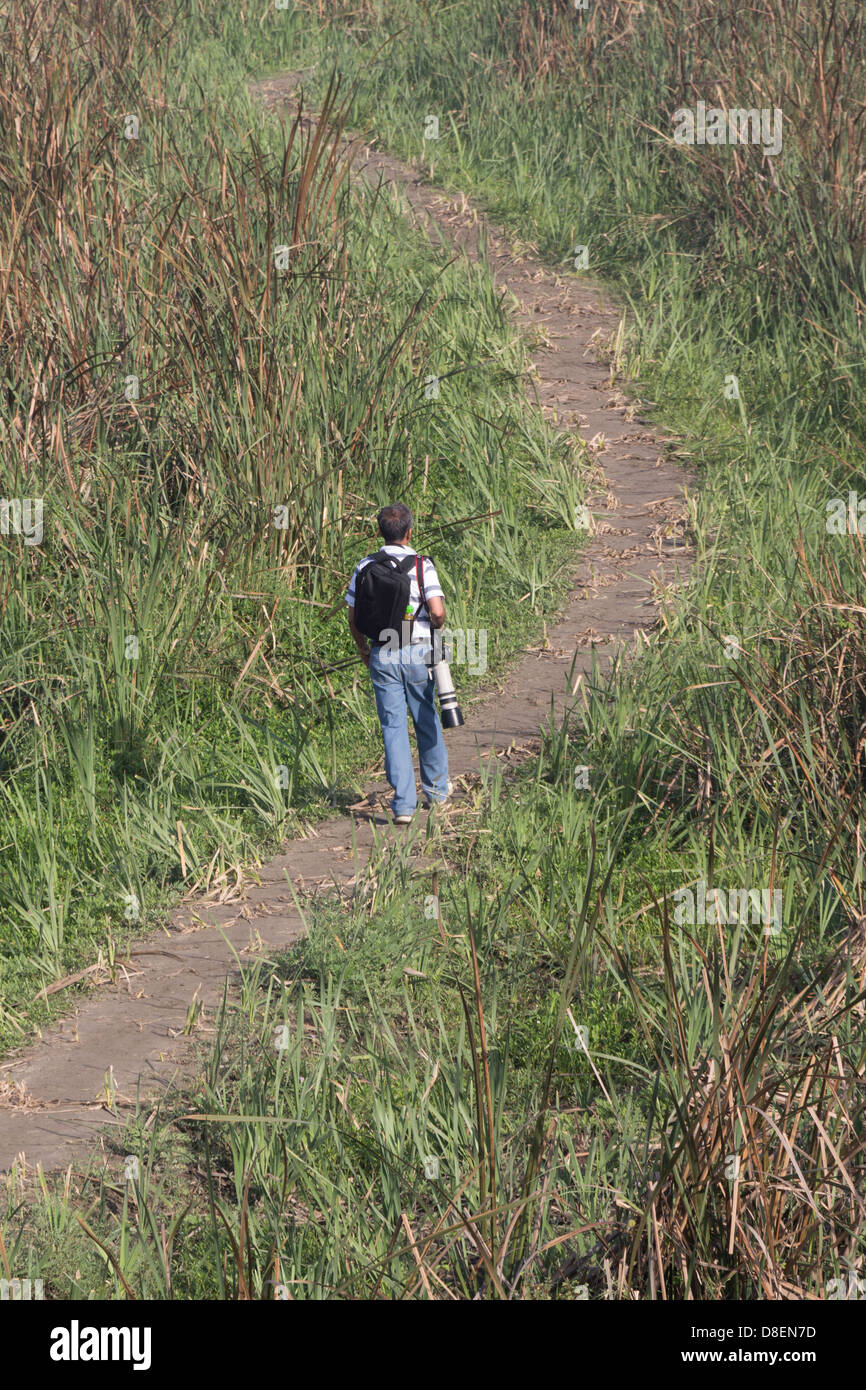 Mann mit Kamera im Inneren Okhla Bird Sanctuary. Sumpfige Land auf beiden Seiten des Weges, und der Mann trägt hohe Zoom-Objektiv für Vögel Stockfoto