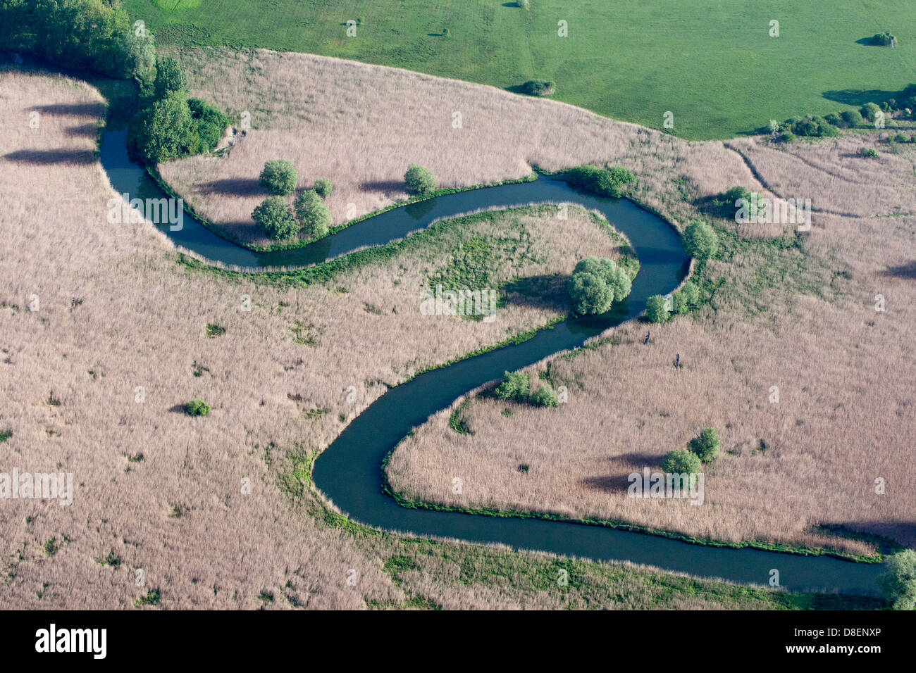 Mündung des Aach, Baden-Württemberg, Deutschland, Europa Stockfoto