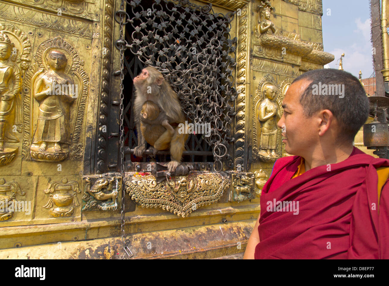 Affe und Mönch an Swayambhunath Tempel, Kathmandu, Nepal, Asien Stockfoto