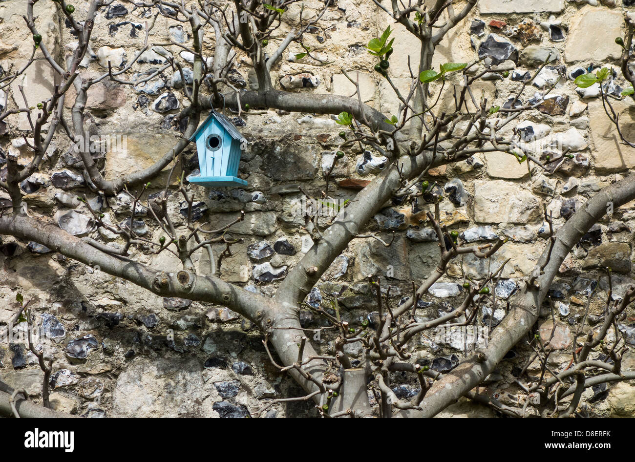 Blaue Vogel-Haus im Baum gegen alte Feuerstein-Wand Stockfoto