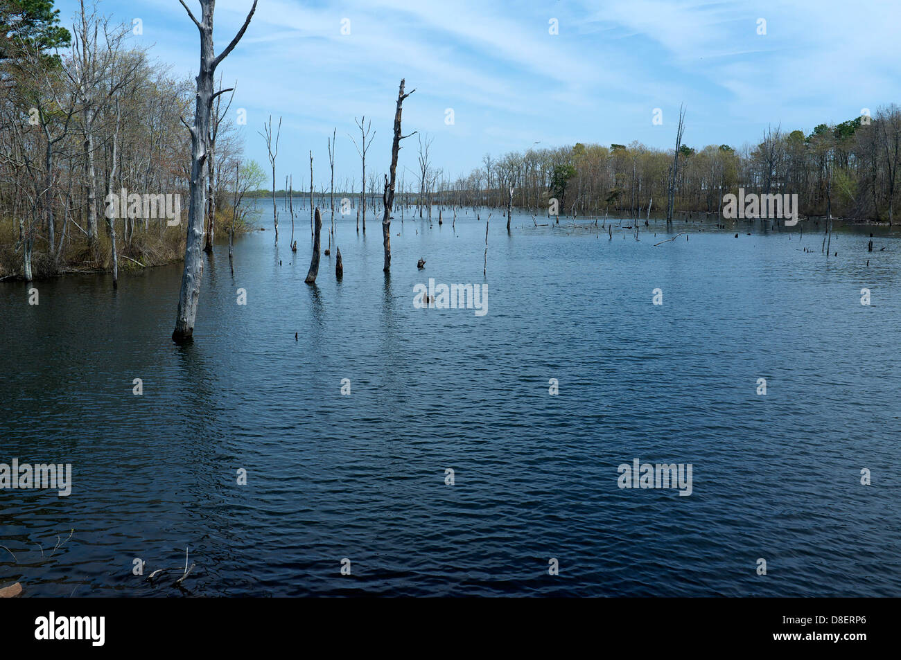 Münster-Reservoir, New-Jersey Stockfoto