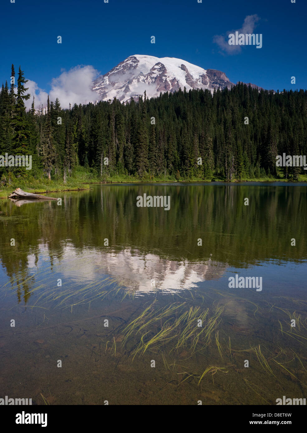 Mt. Rainier und Lake National Park Washington State Stockfoto