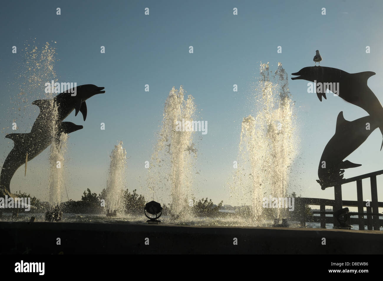 Delphin-Statuen zeigen sich in der Luft, als die Sonne hinter ihnen an eine Wasserfontäne in Sarasota, FL am Wasser sitzt. Stockfoto