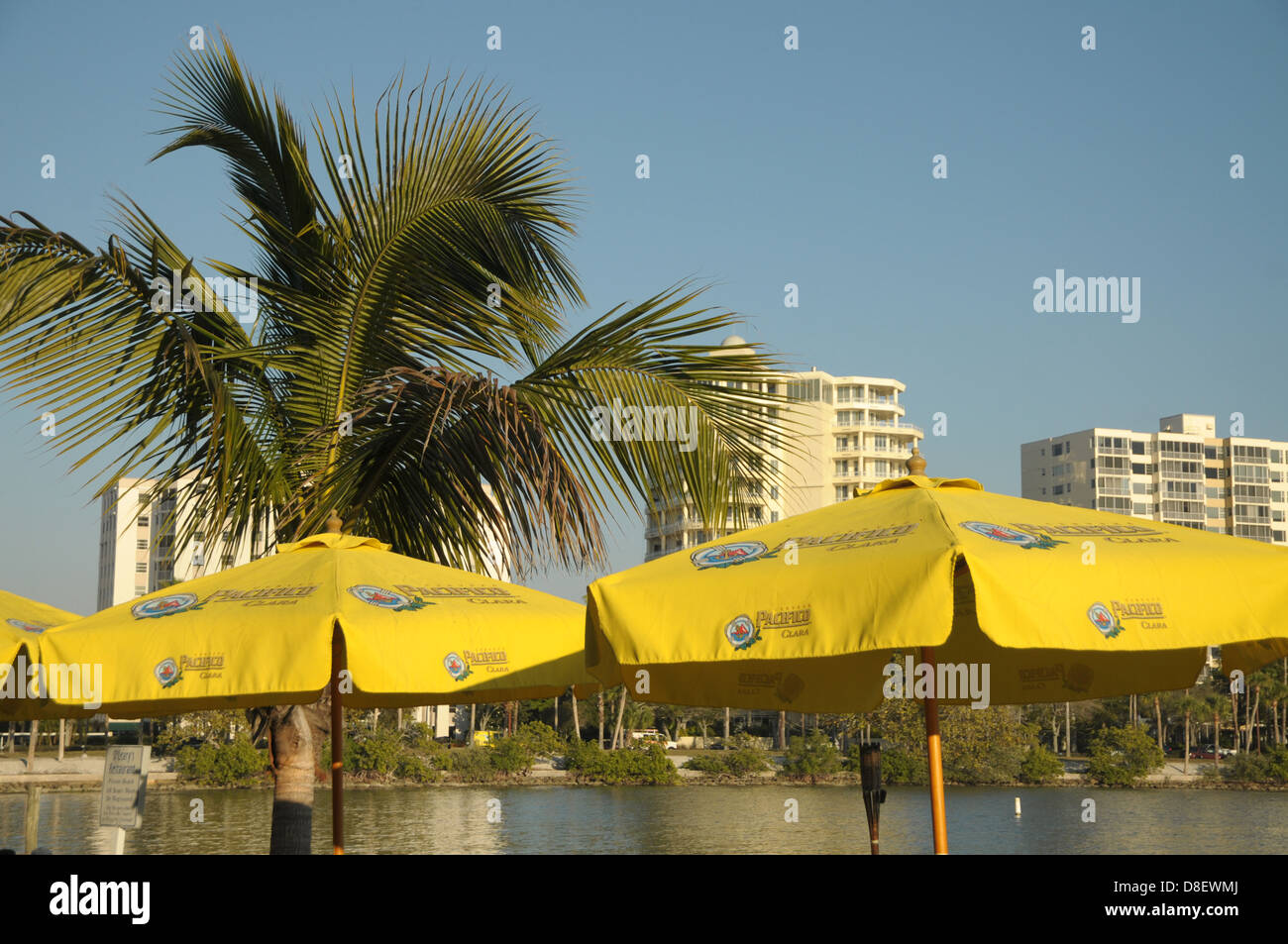 Sonnenschirmen sitzen im Vordergrund, wie die Sky-Line von Sarasota Hintergrund ziert. Stockfoto