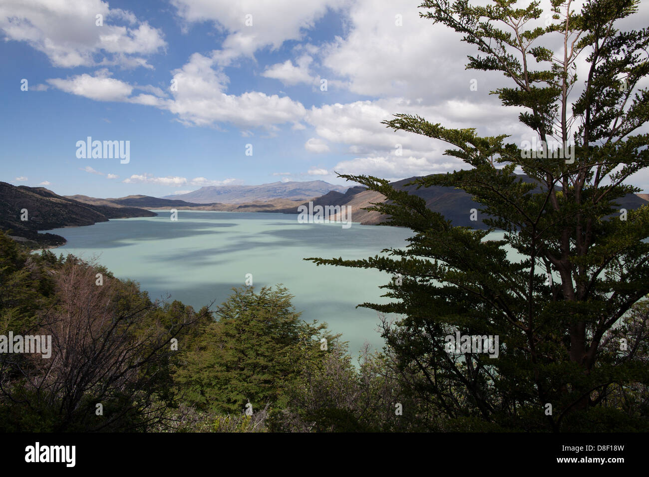 Smaragd grünen Lago Nordenskjol inmitten von Patagonien Berge und Wälder der Torres Del Paine Stockfoto