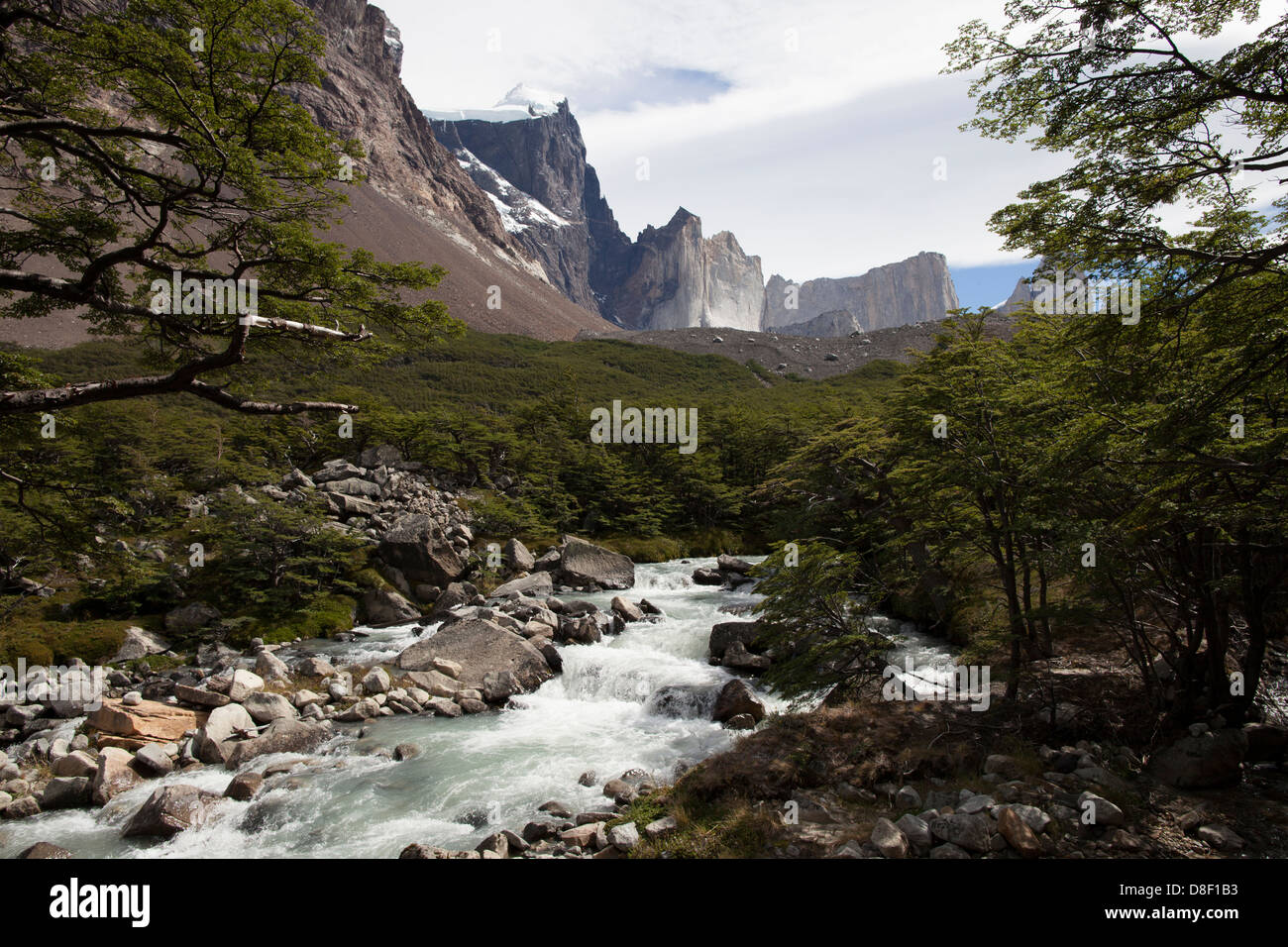 Fluss fließt durch Valle del Frances Landschaft im Torres de Paine Stockfoto