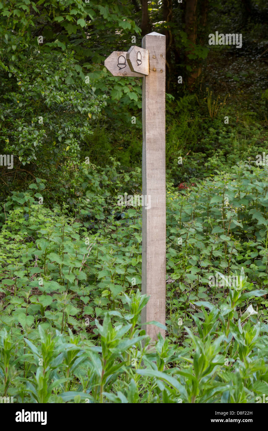 Ein Wald Wegweiser mit Eicheln Stockfoto
