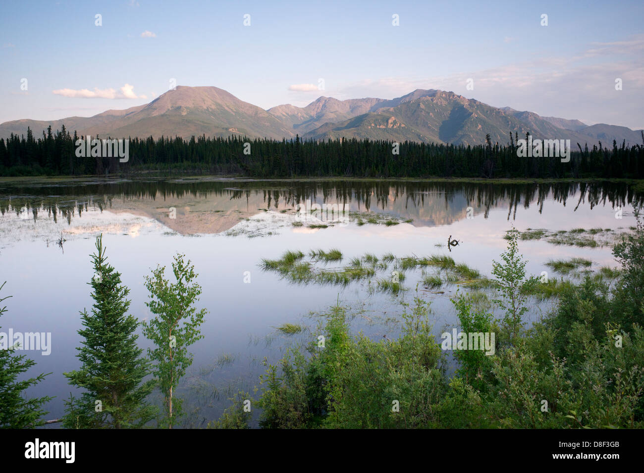 Ein Tarn oder See direkt an der Autobahn 2 spiegelt die Alaska-Berglandschaft Stockfoto
