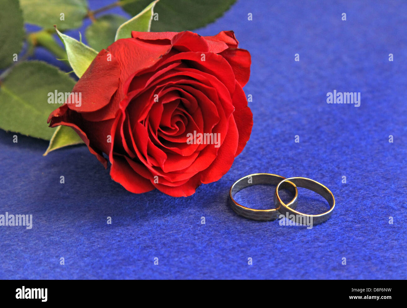 Zwei goldene ringe -Fotos und -Bildmaterial in hoher Auflösung – Alamy