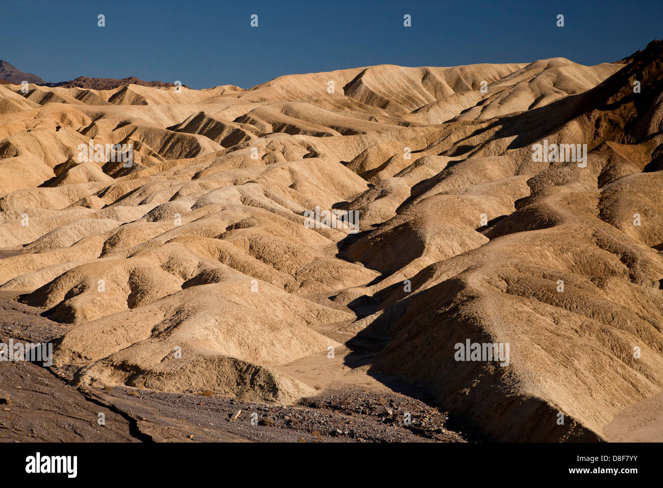 ausgewaschene Felsen von Zabriskie Point im Death Valley National Park in Kalifornien, Vereinigte Staaten von Amerika, USA Stockfoto
