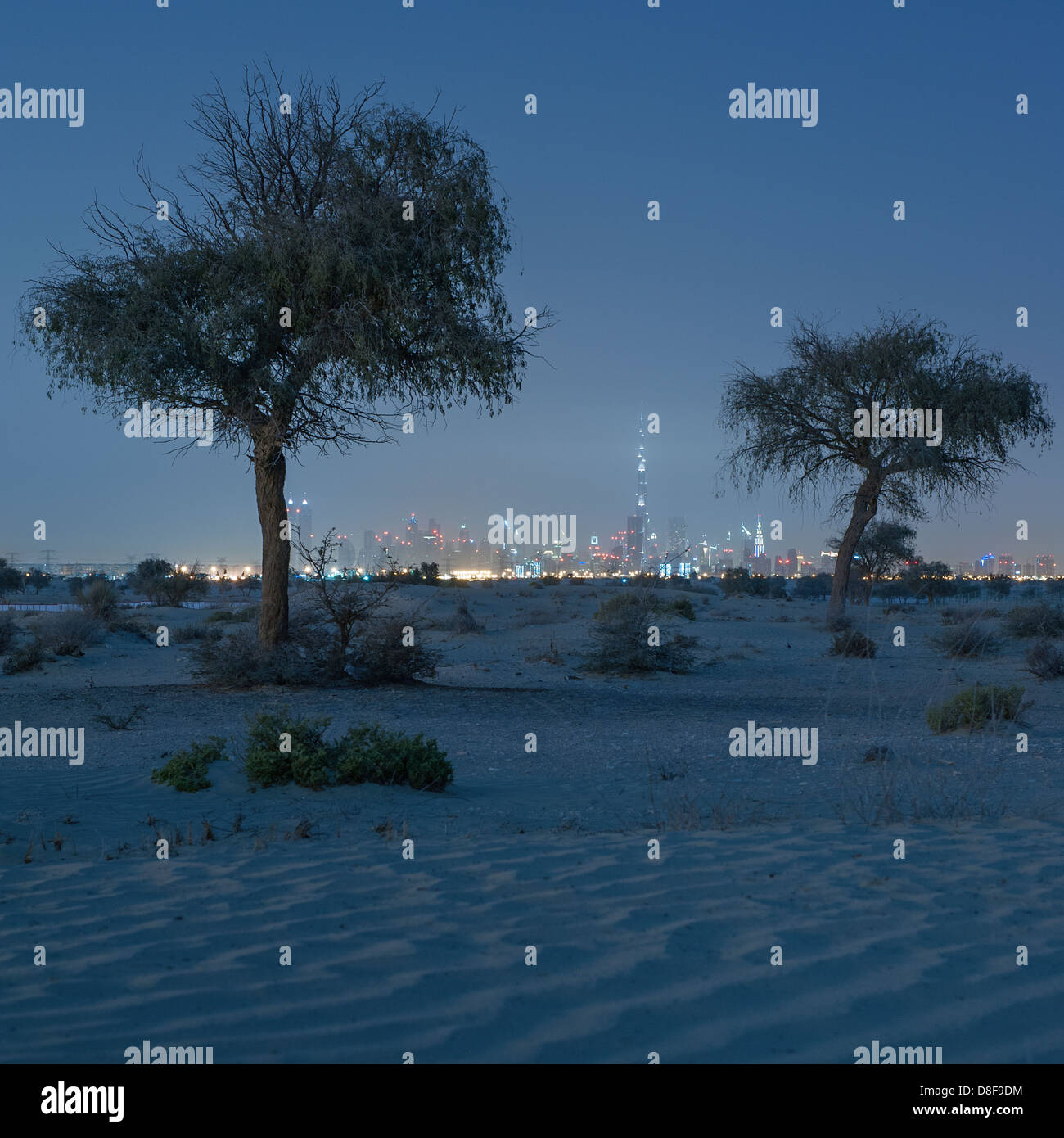 Skyline von Dubai, Vereinigte Arabische Emirate Stockfoto