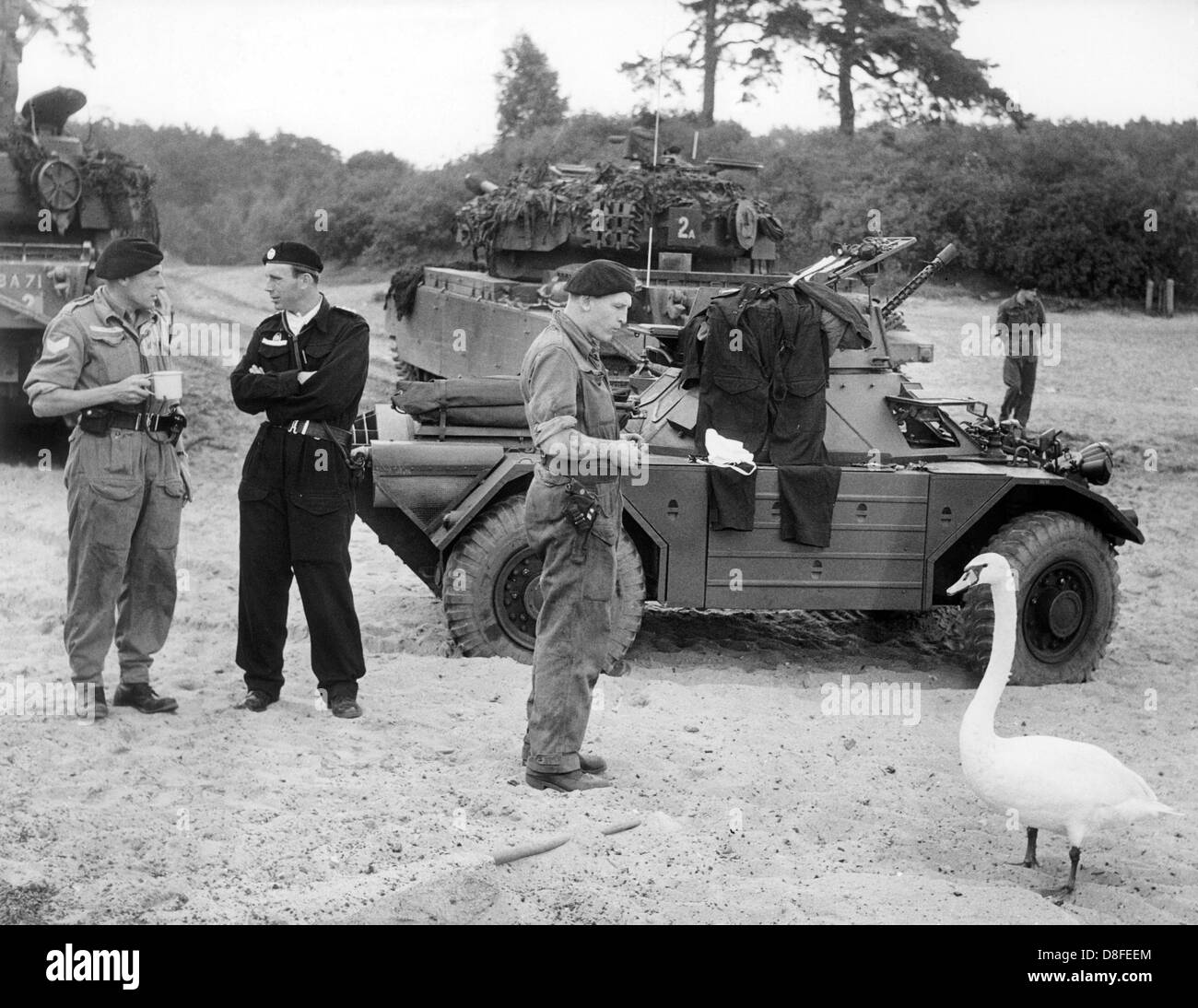 Ein Schwan Consorten mit britischen Soldaten, die ein gemeinsames britisch-amerikanischen Manöver in Berlin mit ihren militärischen Fahrzeugen am 28. August 1963 Teilnahme warten. Stockfoto