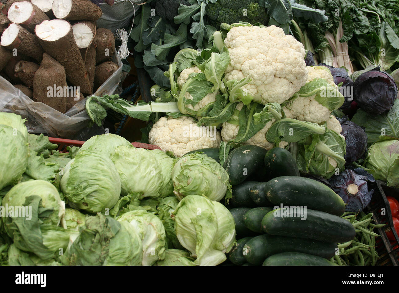 Yucca, Gurken, Salat und Blumenkohl zu verkaufen am Outdoor-Gemüsemarkt ...