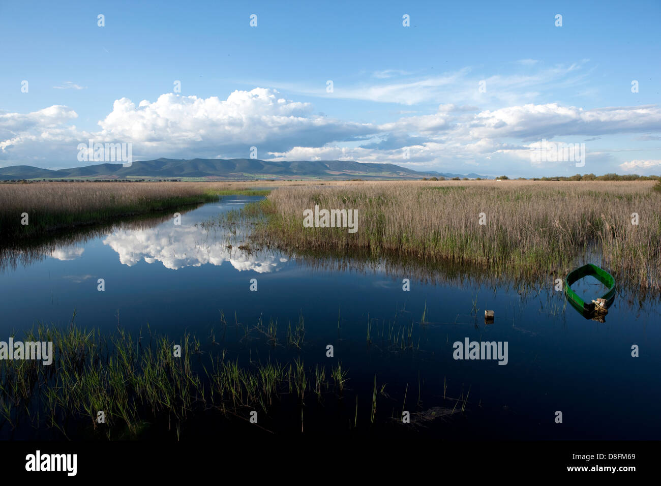 Nationalpark Las Tablas de Daimiel Stockfotografie Alamy