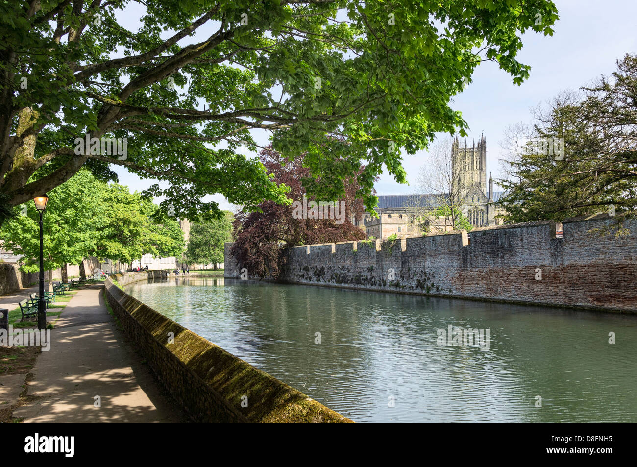 Wassergraben runden den Bischofspalast in Wells, Somerset, England, UK - mit Kathedrale im Hintergrund Stockfoto