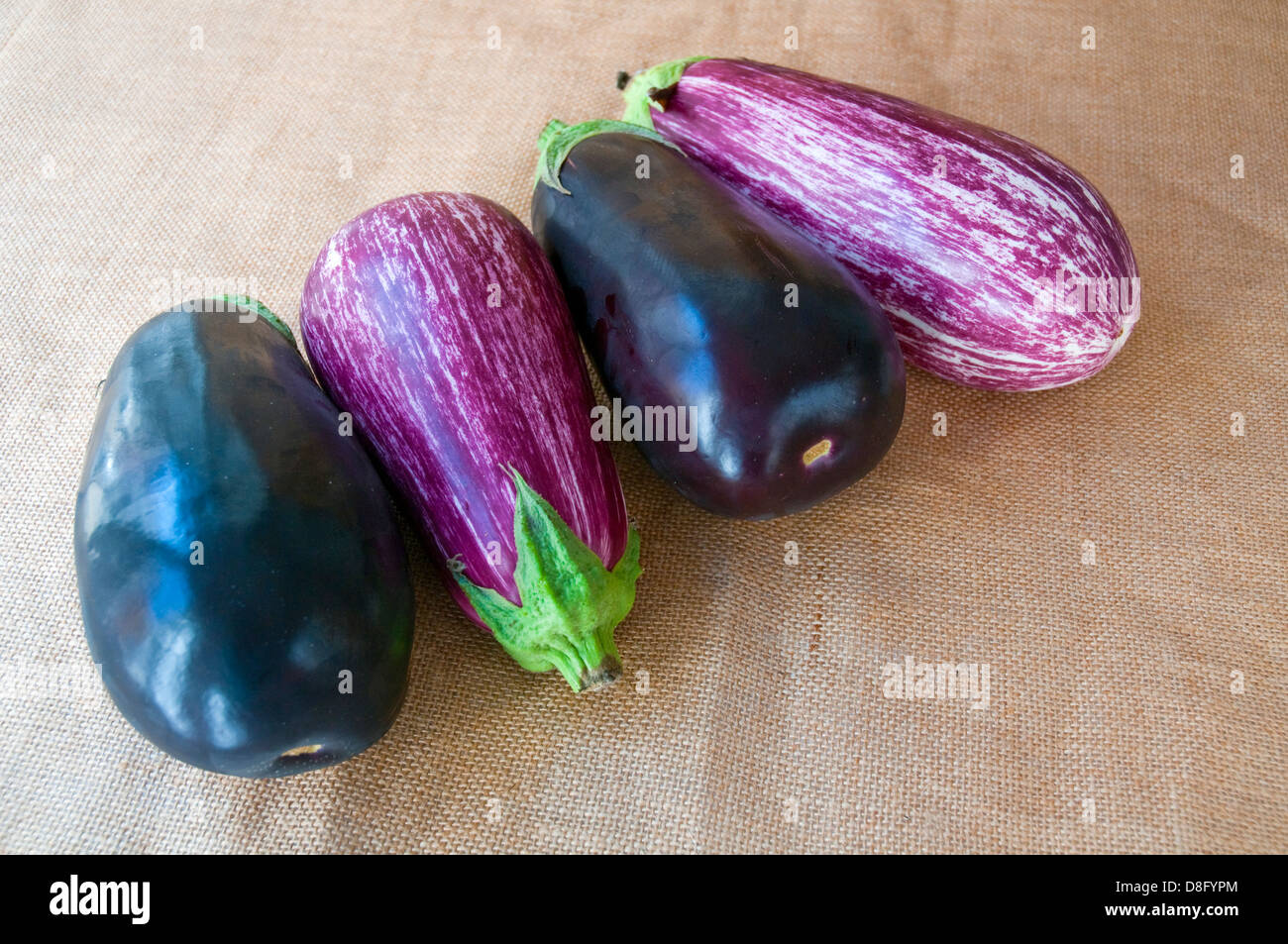 Vier Auberginen. Still-Leben. Stockfoto