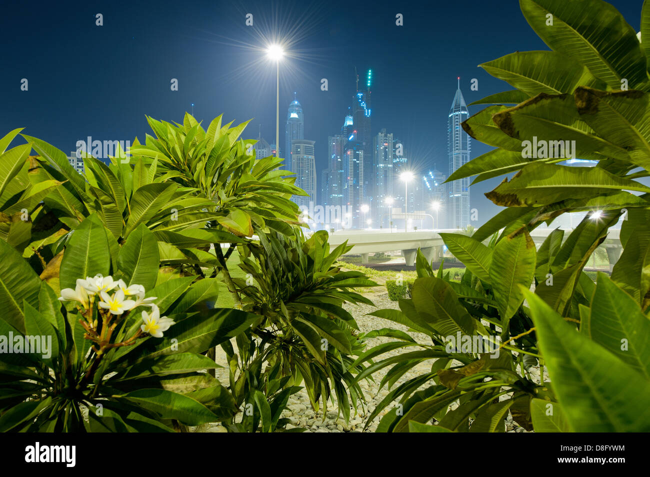 Pflanzen auf ein Autobahnkreuz an der Sheikh Zayed Road mit Wolkenkratzern in der Marina, in der Nacht, neue Dubai, Vereinigte Arabische Emirate Stockfoto
